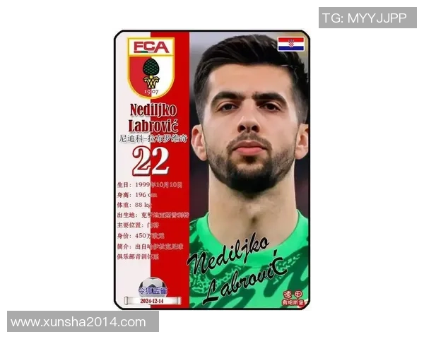 2025年汉堡足球球星排名前十:实力与荣耀并存的顶级球员解析